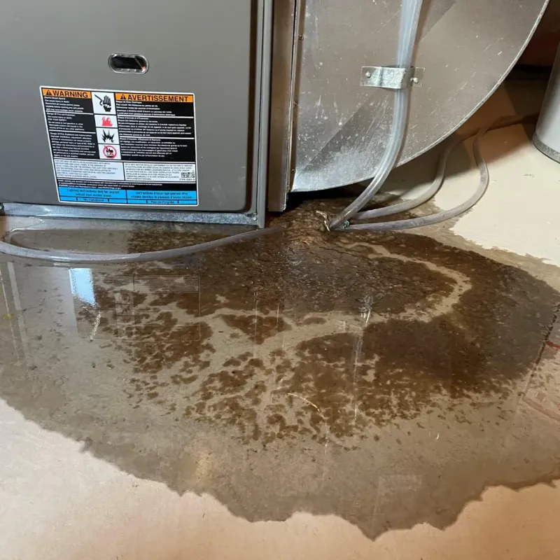 Appliance Leak Cleanup in Downingtown, PA